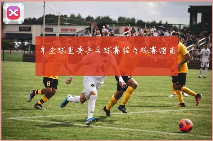 年全球重要乒乓球赛程与观赛指南