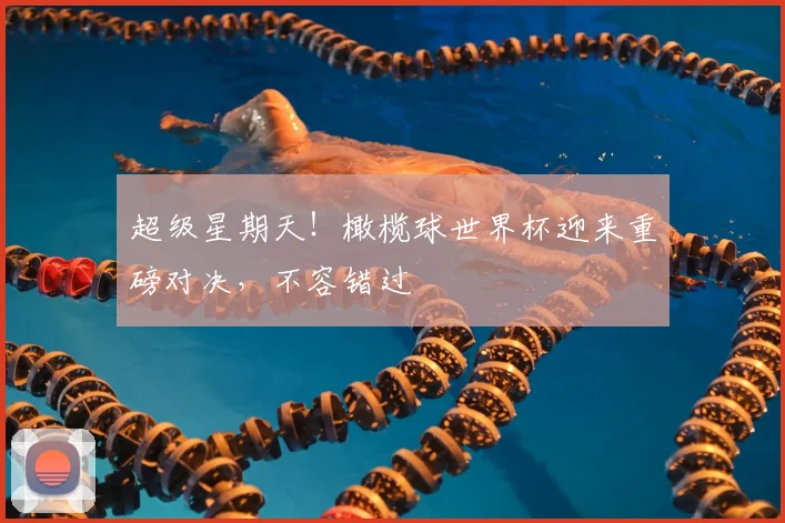超级星期天！橄榄球世界杯迎来重磅对决，不容错过