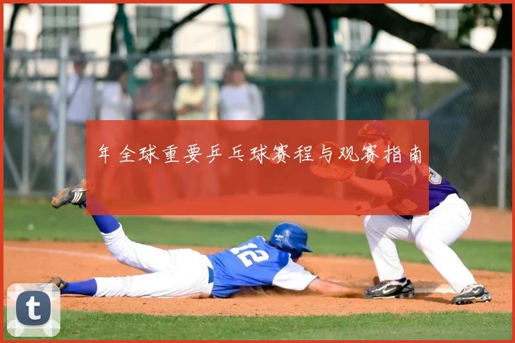 年全球重要乒乓球赛程与观赛指南