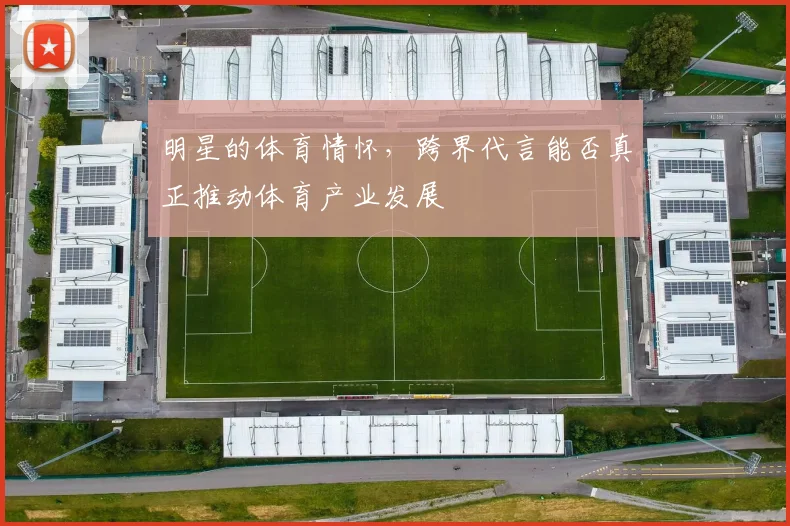 明星的体育情怀，跨界代言能否真正推动体育产业发展