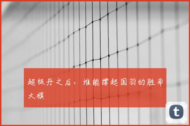 超级丹之后，谁能撑起国羽的胜率大旗